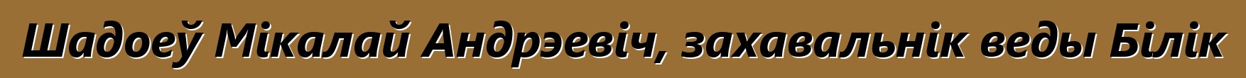 Шадоеў Мікалай Андрэевіч, захавальнік веды Білік