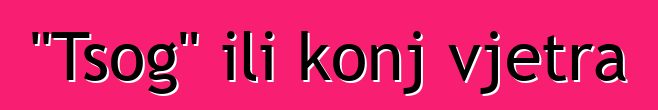 "Tsog" ili konj vjetra