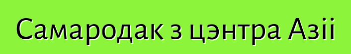 Самародак з цэнтра Азіі