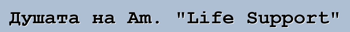 Душата на Am. "Life Support"