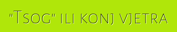"Tsog" ili konj vjetra