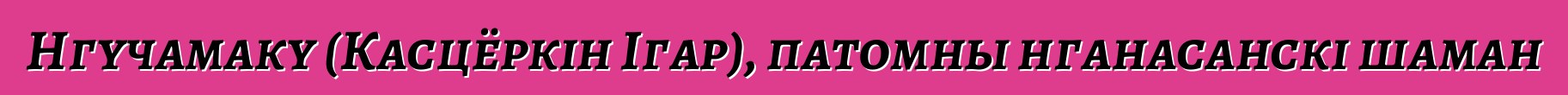 Нгучамаку (Касцёркін Ігар), патомны нганасанскі шаман