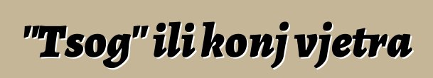 "Tsog" ili konj vjetra