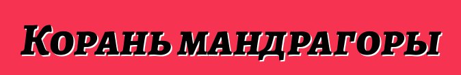 Корань мандрагоры