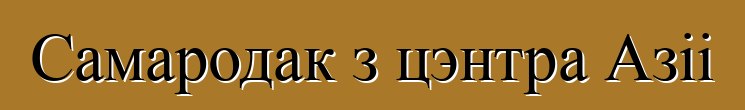 Самародак з цэнтра Азіі