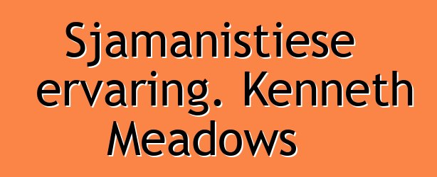 Sjamanistiese ervaring. Kenneth Meadows