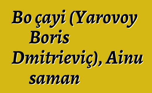 Bo çayı (Yarovoy Boris Dmitrieviç), Ainu şaman