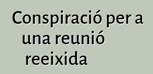 Conspiració per a una reunió reeixida