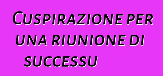 Cuspirazione per una riunione di successu