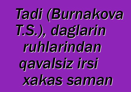 Tadi (Burnakova T.S.), dağların ruhlarından qavalsız irsi xakas şaman