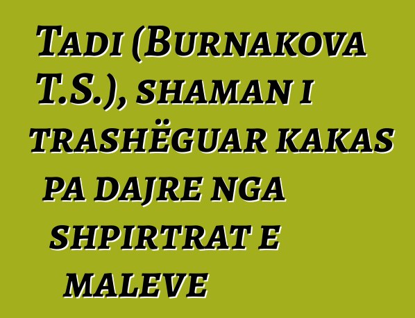 Tadi (Burnakova T.S.), shaman i trashëguar kakas pa dajre nga shpirtrat e maleve