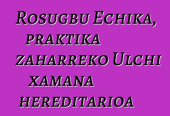 Rosugbu Echika, praktika zaharreko Ulchi xamana hereditarioa