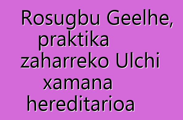 Rosugbu Geelhe, praktika zaharreko Ulchi xamana hereditarioa