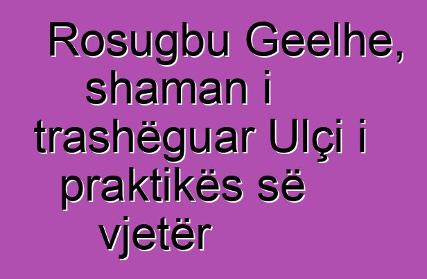 Rosugbu Geelhe, shaman i trashëguar Ulçi i praktikës së vjetër