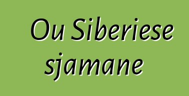 Ou Siberiese sjamane