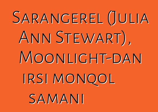 Sarangerel (Julia Ann Stewart), Moonlight-dan irsi monqol şamanı