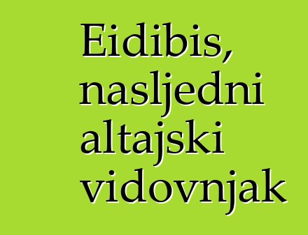 Eidibis, nasljedni altajski vidovnjak