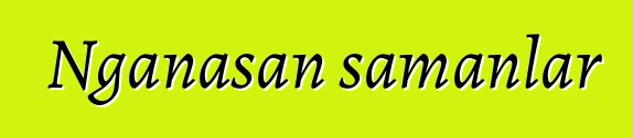 Nganasan şamanlar