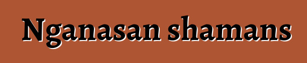 Nganasan shamans