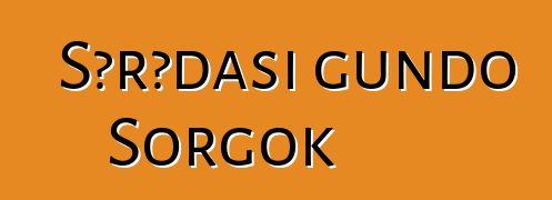 Sɔrɔdasi gundo Sorgok