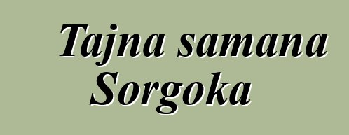 Tajna šamana Sorgoka