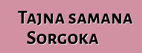 Tajna šamana Sorgoka