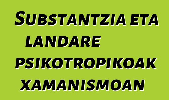 Substantzia eta landare psikotropikoak xamanismoan