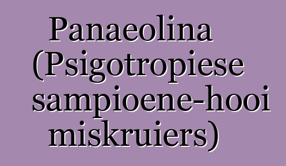 Panaeolina (Psigotropiese sampioene-hooi miskruiers)