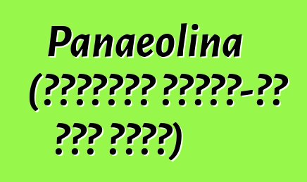 Panaeolina (ሳይኮትሮፒክ እንጉዳይ-ሃይ እበት ጥንዚዛ)