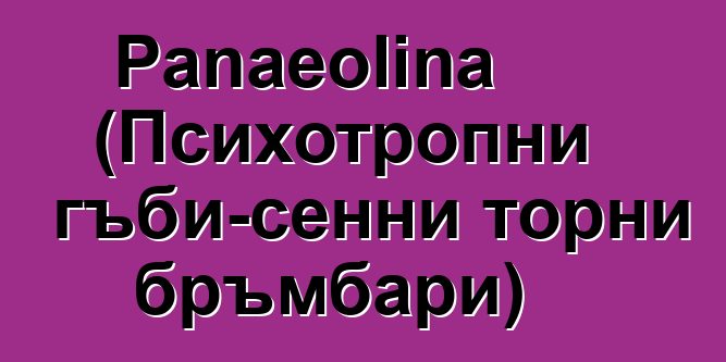 Panaeolina (Психотропни гъби-сенни торни бръмбари)