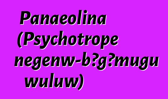 Panaeolina (Psychotrope ɲɛgɛnw-bɔgɔmugu wuluw)