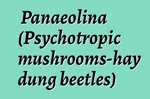 Panaeolina (Psychotropic mushrooms-hay dung beetles)