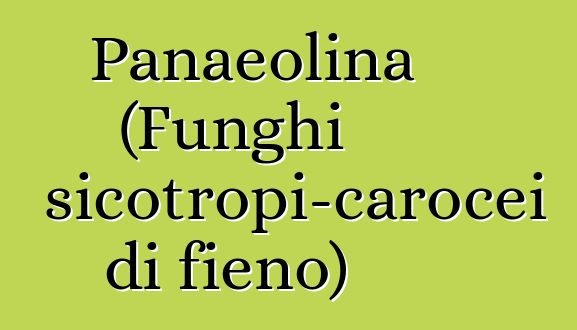 Panaeolina (Funghi psicotropi-carocei di fieno)