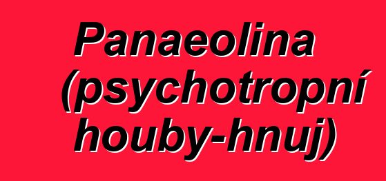 Panaeolina (psychotropní houby-hnůj)