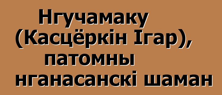 Нгучамаку (Касцёркін Ігар), патомны нганасанскі шаман