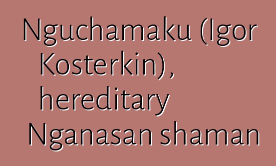 Nguchamaku (Igor Kosterkin), hereditary Nganasan shaman