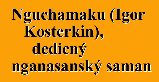 Nguchamaku (Igor Kosterkin), dědičný nganasanský šaman