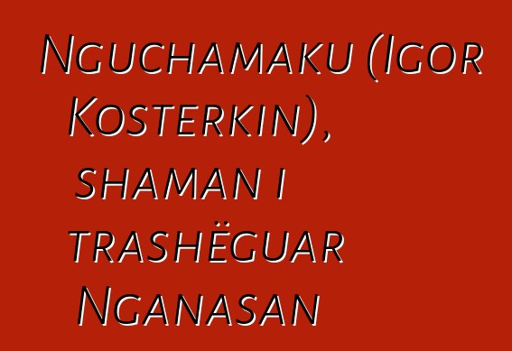 Nguchamaku (Igor Kosterkin), shaman i trashëguar Nganasan