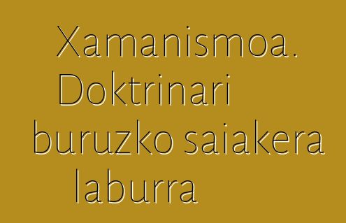 Xamanismoa. Doktrinari buruzko saiakera laburra