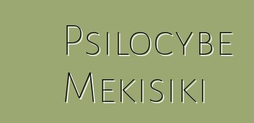 Psilocybe Mɛkisiki