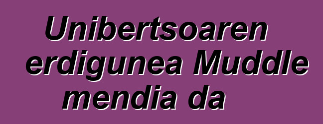 Unibertsoaren erdigunea Muddle mendia da