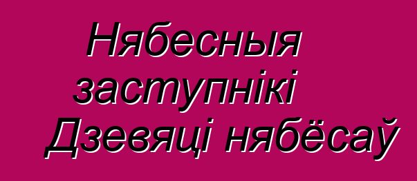 Нябесныя заступнікі Дзевяці нябёсаў