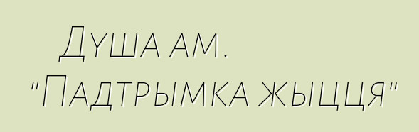 Душа ам. "Падтрымка жыцця"