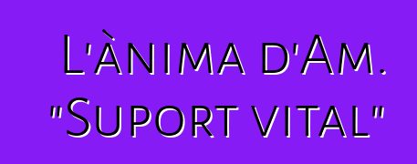 L'ànima d'Am. "Suport vital"