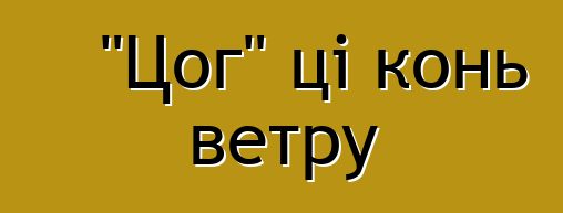 "Цог" ці конь ветру