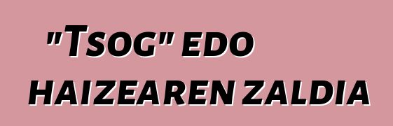 "Tsog" edo haizearen zaldia