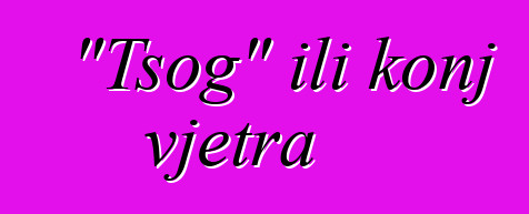 "Tsog" ili konj vjetra