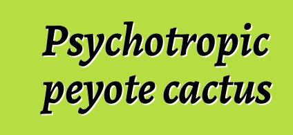 Psychotropic peyote cactus