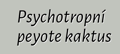 Psychotropní peyote kaktus