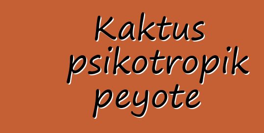 Kaktus psikotropik peyote